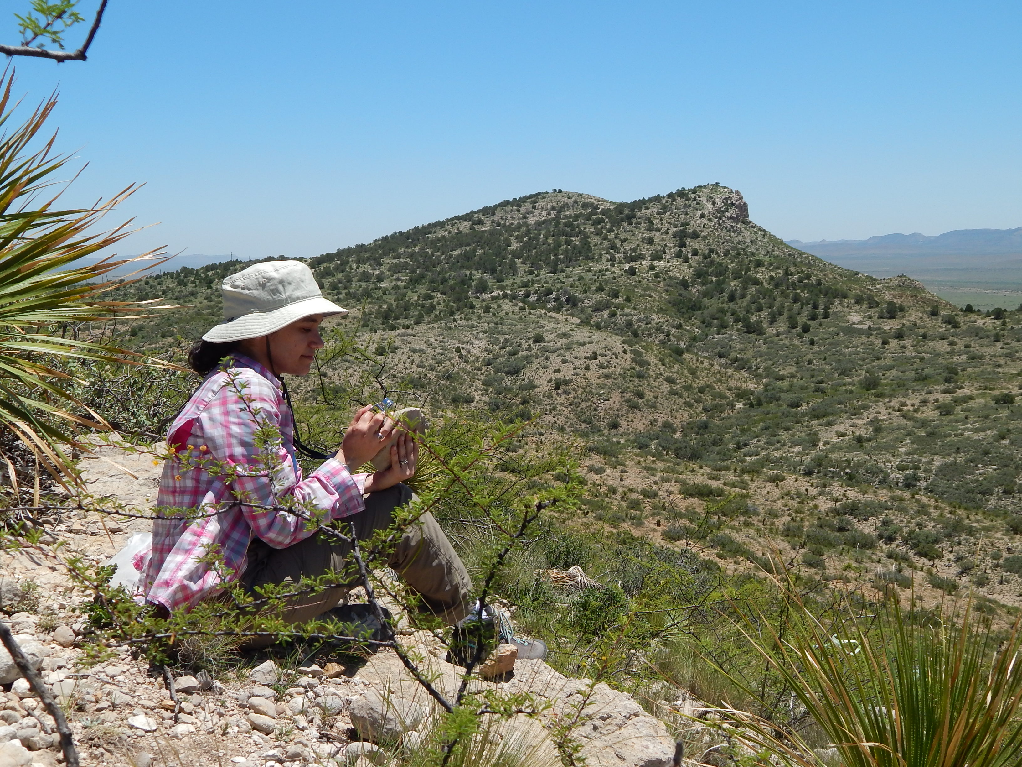 Sitting in Wolf Camp Hills looking for fusulinids and marine inverebrate in Permian limestones. Photo Credit: Eileah Simms. Taken July 2018. 
