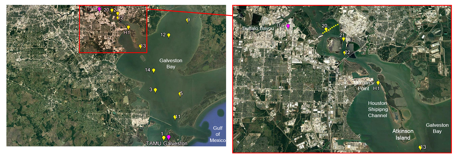 (Left) The researchers’ sampling stations (yellow), relative to the ITC facility in Deer Park and Texas A&M Galveston (magenta). (Right) This map shows how water flows down Buffalo Bayou, past ITC, through the Houston Shipping Channel, and out to Galveston Bay and the Gulf of Mexico. Station 20 was the scientists’ closest possible water sampling location to ITC, given the U.S. Coast Guard closure of the Houston Shipping Channel at that time (yellow dotted line). Stations 20-22, H1, and 13 showed qualitative evidence of influence from runoff, likely from ITC, including slippery or soapy water texture by touch, a shiny surface sheen, and/or the presence of foam in surface waters. (Map courtesy of Dr. Jessica Fitzsimmons.)