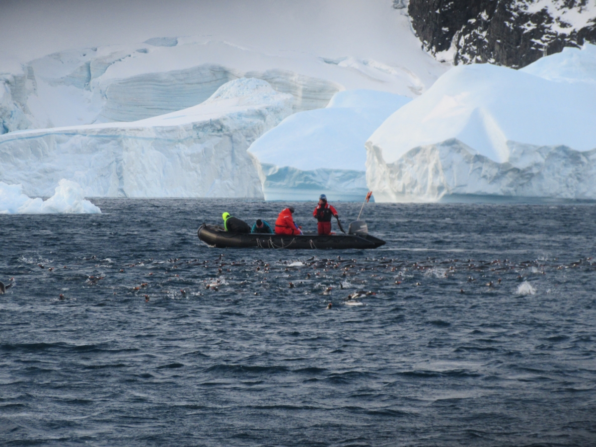 Dive team taking measurements in the waters off of Antarctica. Photo by Andrew Klein.