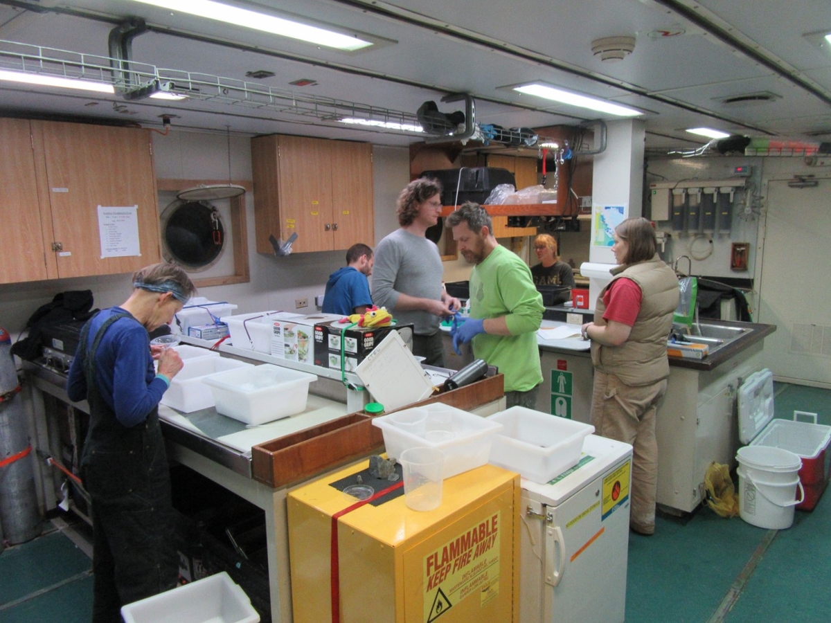 Researchers cataloging specimens aboard the research vessel. (Photo by Andrew Klein.)