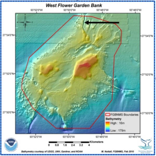 Bathymetry of the West Flower Garden Banks. Black arrow indicates the location of Howard Trough. (Figure courtesy of Dr. Chris Simoniello, as modified from M. Nutall, 2019.)
