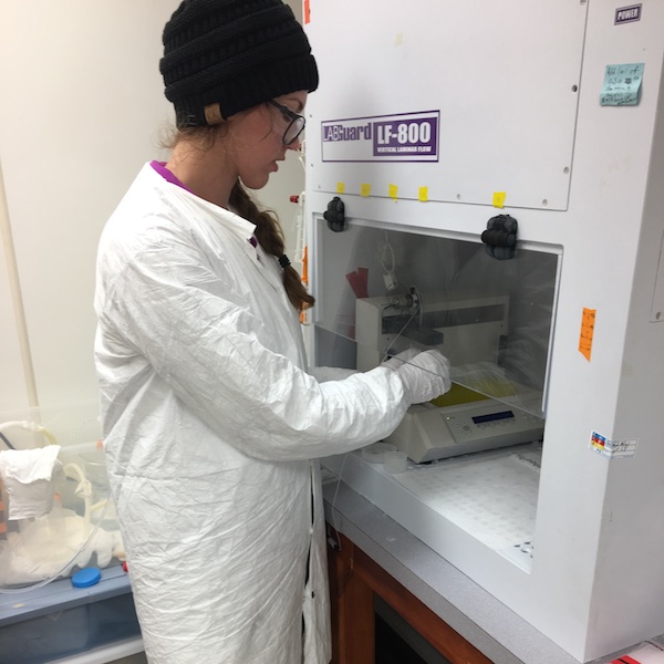 Kimber De Salvo working with her samples in Darling Maine Center’s clean lab. (Photo Courtesy of Kimber De Salvo)