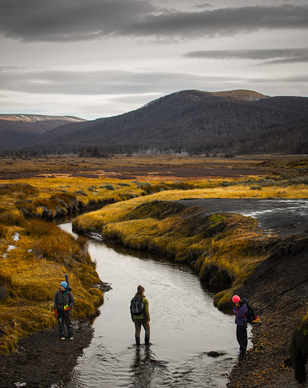 Texas A&M students and peatlands in Tierra del Fuego. (Photo by Patrick Campbell.)