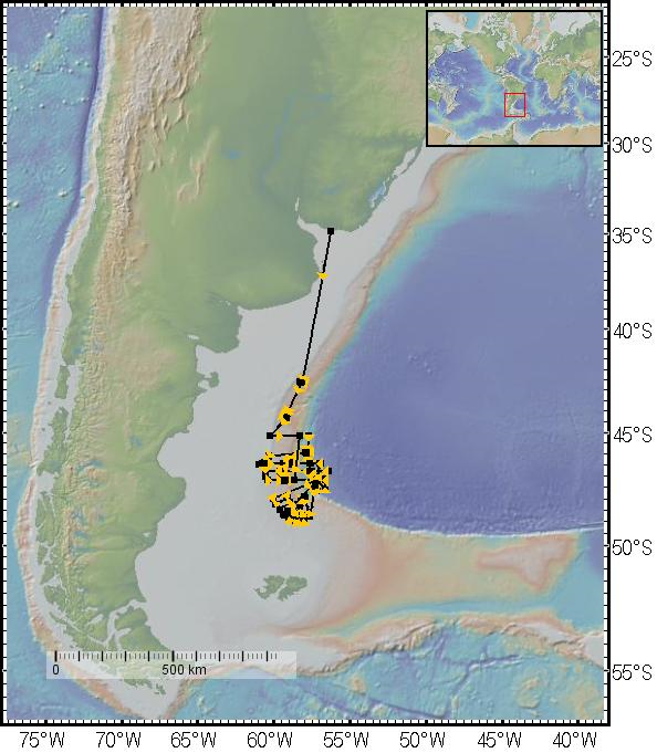The Argentine margin and the track of the R/V Thomas G. Thompson. The ship embarked and arrived back to the port in Montevideo, Uruguay, with most work being done in a large area located north of the Falkland/Malvinas Islands. (Image courtesy of Ruby Schaufler.)