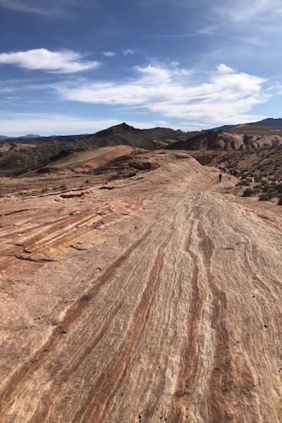 Aztec sandstone in Valley of Fire State Park, NV. (Photo courtesy of Claire Martin.)