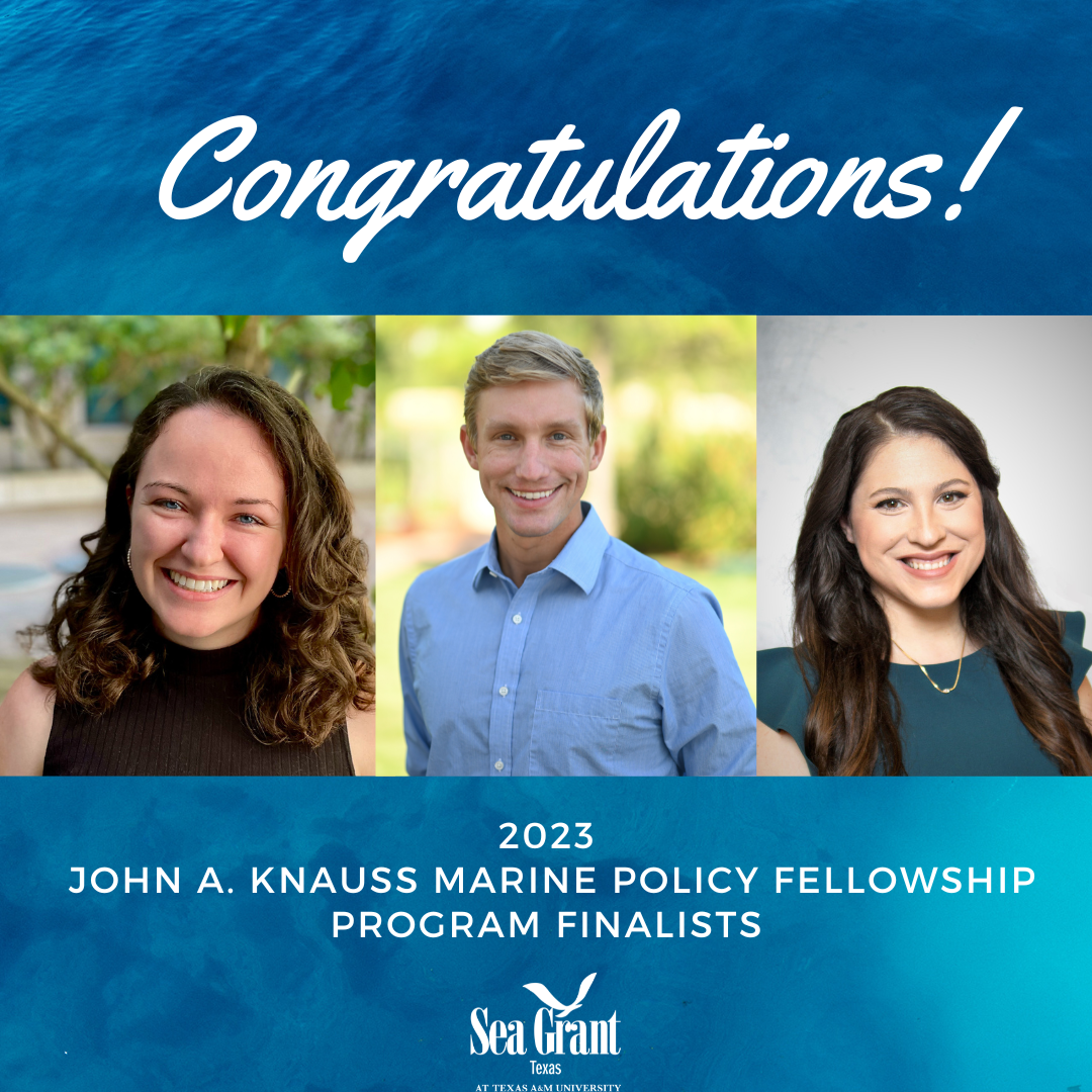 Three 2023 Finalists Selected for the John A. Knauss Marine Policy Fellowship Program thumbnail