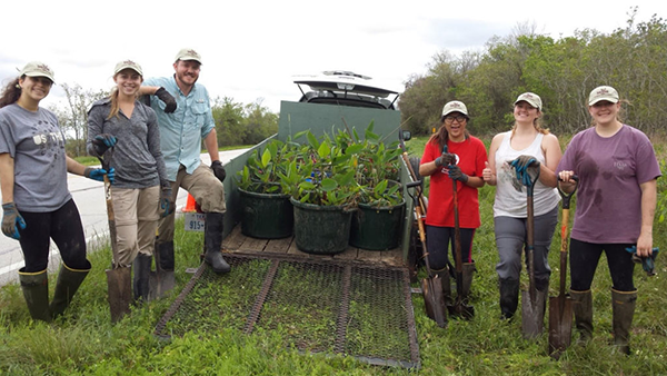 Students Get Hands-On Look At Wetland Restoration In Texas Sea Grant Internship