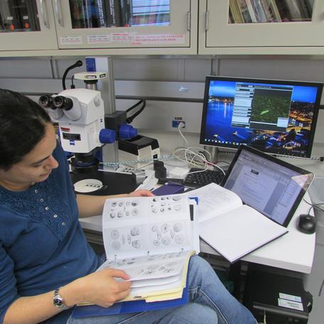 In the micropaleontology lab aboard the Joides resolution trying to identify benthic foraminifera