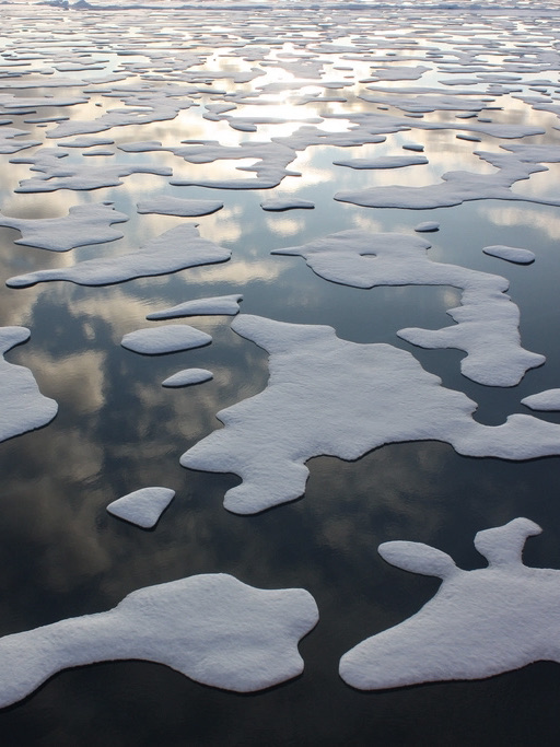 Sea ice melting in the Arctic Ocean (Photo credits: NASA/Kathryn Hansen)