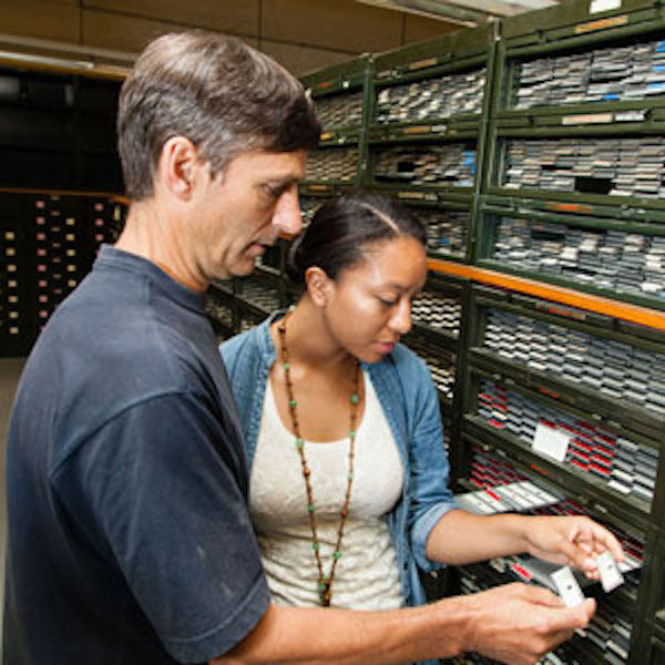 Dr. Bryant working with Dr. Huber as part of her first REU at the Cushman Collection in the Smithsonian Institution National Museum of Natural History.(Photo courtesy of Dr. Bryant.)