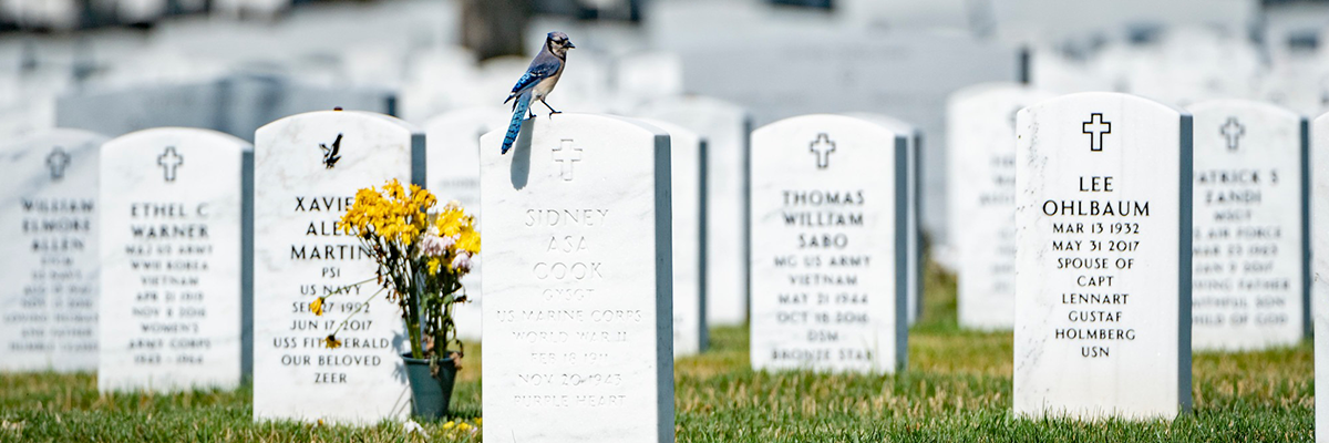 A multi-disciplinary Texas A&M project will digitize veterans’ legacies and enable virtual visits to their headstones. (Photo courtesy of Texas A&M Liberal Arts.)