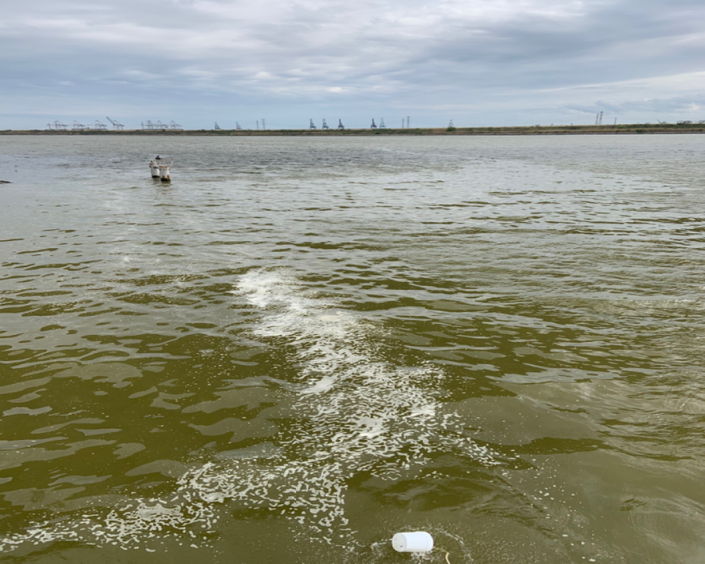 Bucket sampling of foam and a (shiny) surface slick of water in the Houston Shipping Channel near Alexander Island. (Photo courtesy of Dr. Jessica Fitzsimmons.)