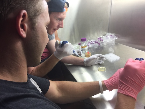 Summer Research TA, Tanner Mills, and undergraduate student team up to pipet material in preparation for analysis. (Photo courtesy of Dr. Julia Reece)