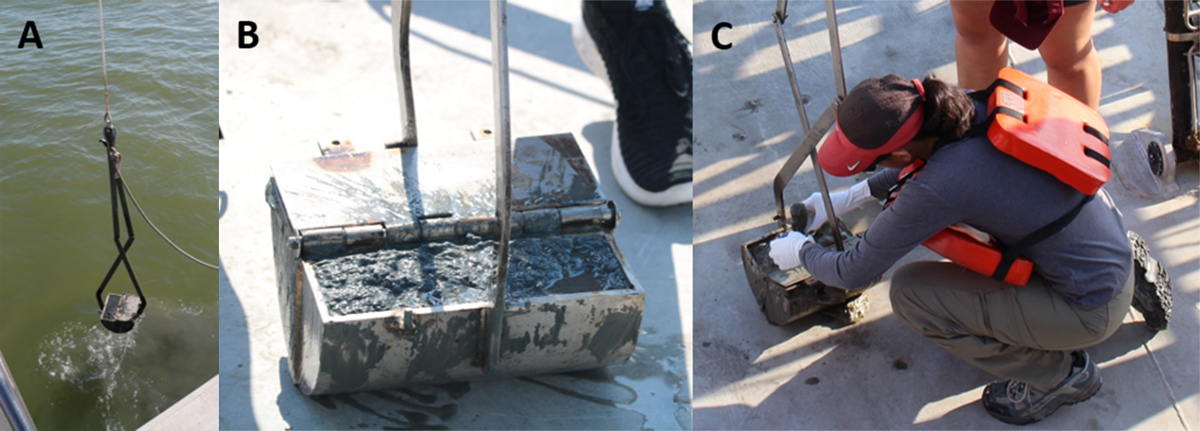 Panel A: deployment of the Van Veen sediment grab sampler from the ship, the R/V Trident. Panel B: closeup of the sediment grab sampler, filled with sediment. Panel C: recently graduated PhD Mandy Mulcan Lopez, first author of the sedimentary lead article. Image credit: Chris Mouchyn.