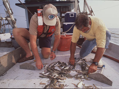 Texas Sea Grant fisheries specialist Gary Graham (right) working with Texas Parks and Wildlife Department to research bycatch (or catch of non-target species) on a shrimp boat in 1997. Photo by Stephan Myers.