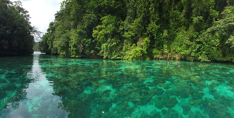 Rising Lagoon, an inlet of Risong Bay