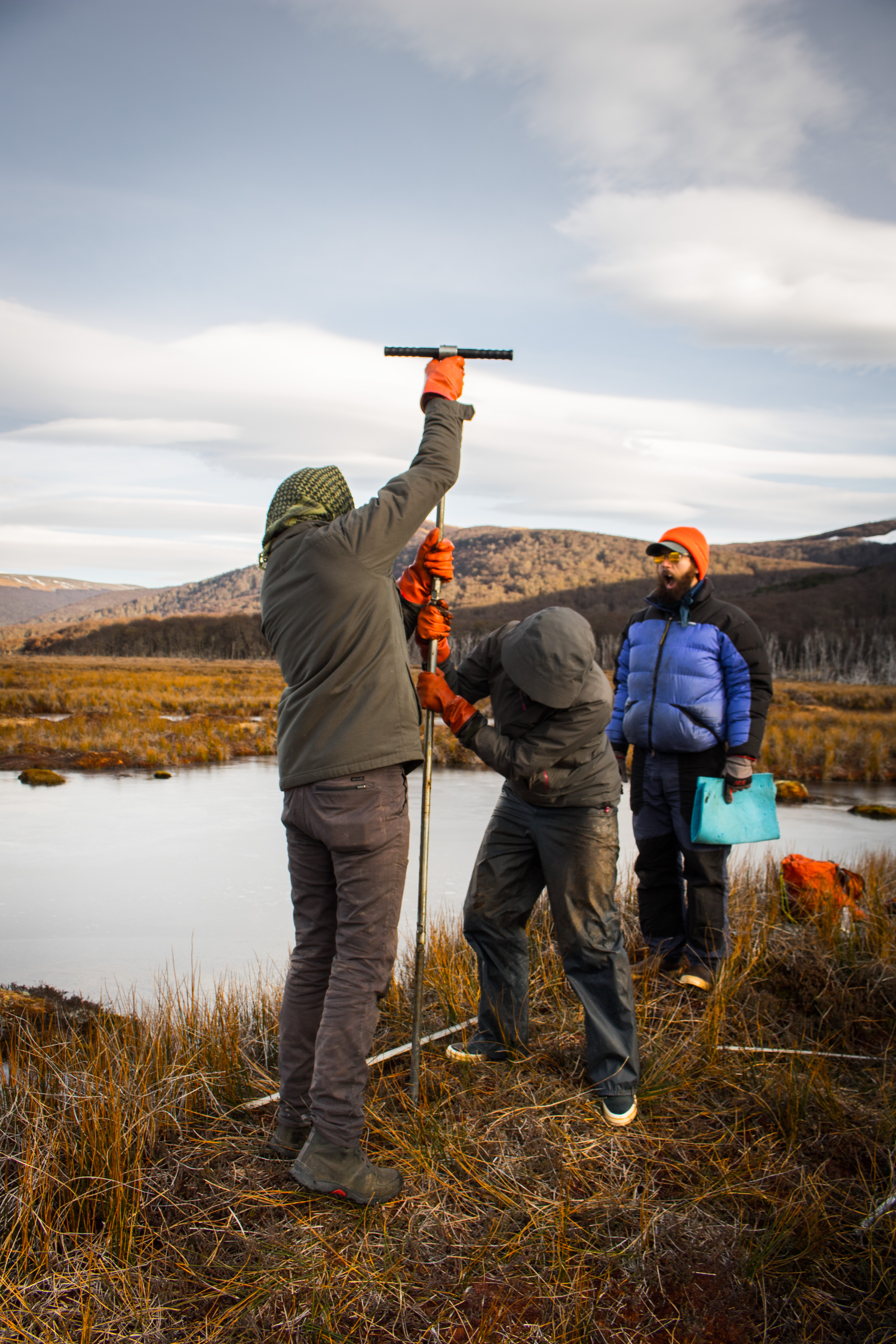 Students collect peat core samples from the ground. Photo by Patrick Campbell.