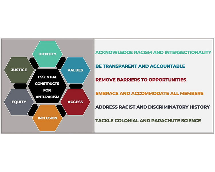 Constructs for effective anti-racism. (Figure credit: Ali, H.N., Sheffield, S.L., Bauer, J.E. et al.)