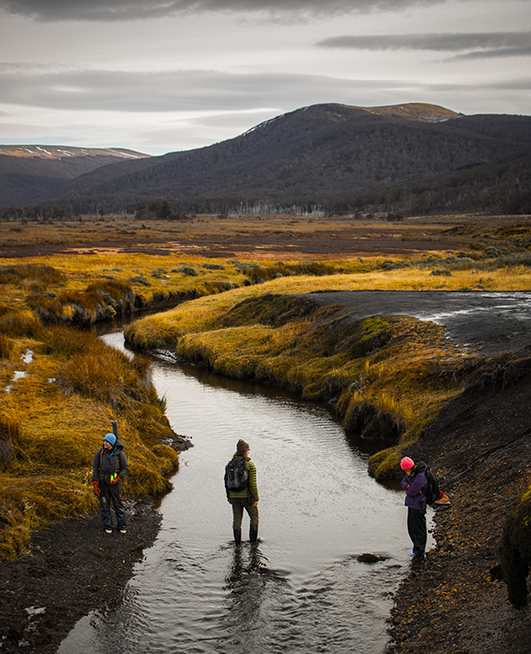 Peatlands in Tierra del Fuego and Texas A&M students on a research expedition led by Loisel. (Photo by Patrick Campbell.)