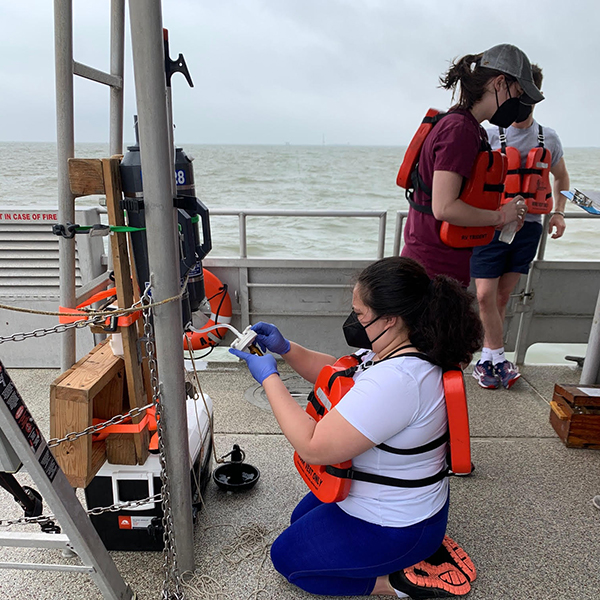 Students getting hands-on experience during Galveston Bay cruise. Image credit: Dr. Chrissy Wiederwohl.