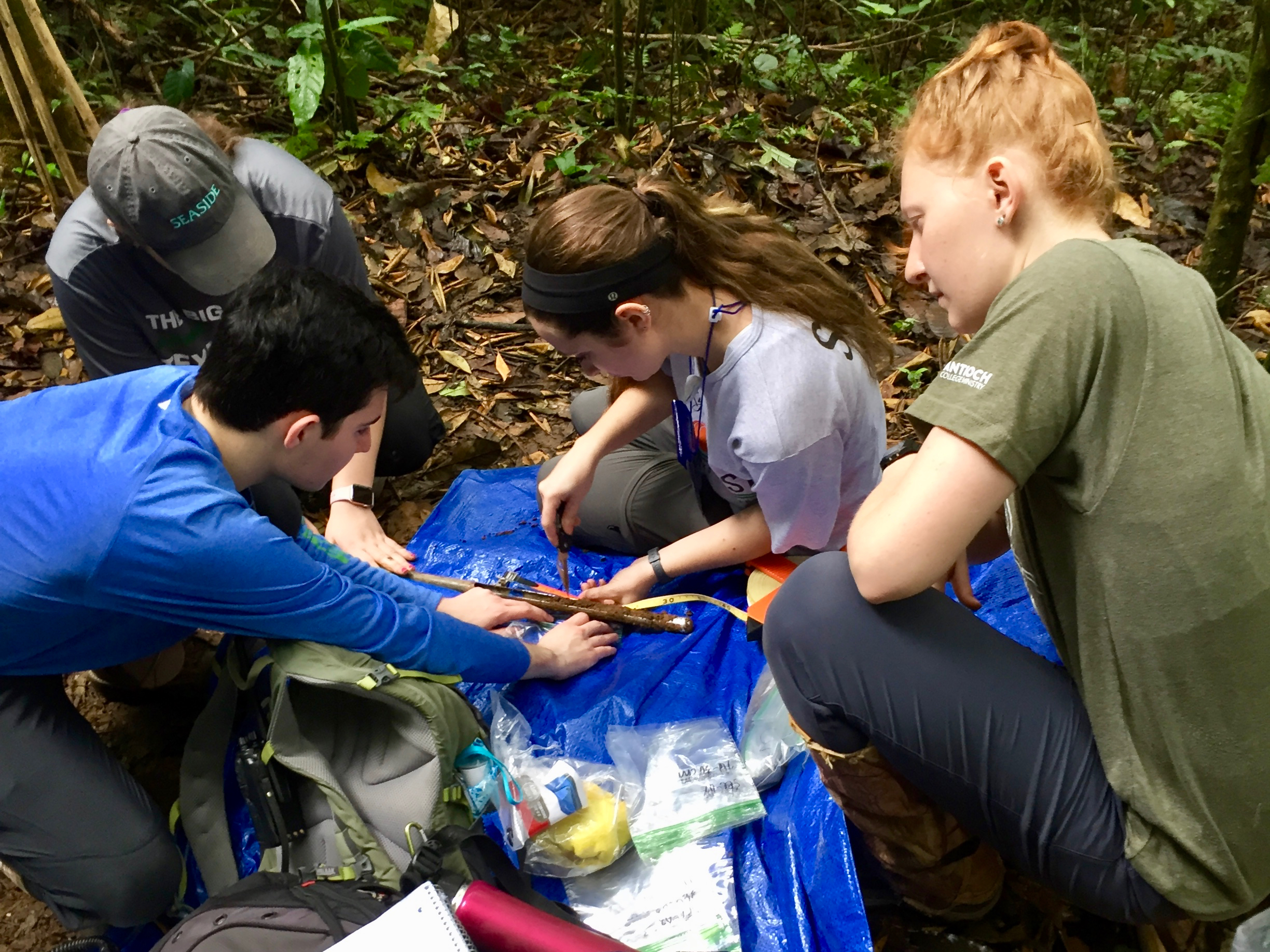 The soil carbon group in the field gathering a soil core.