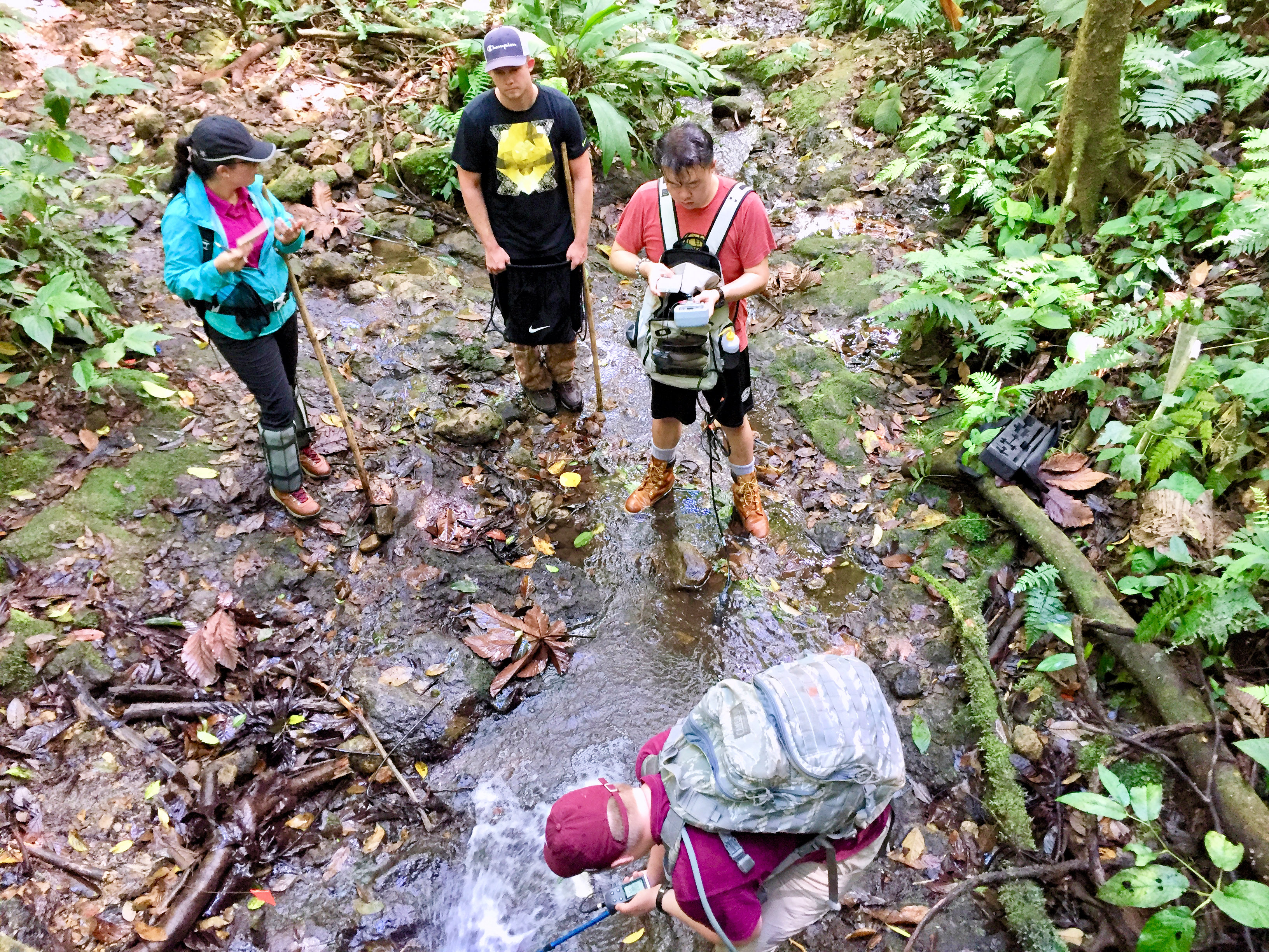 The stream group measuring temperature, dissolved oxygen, and pH.