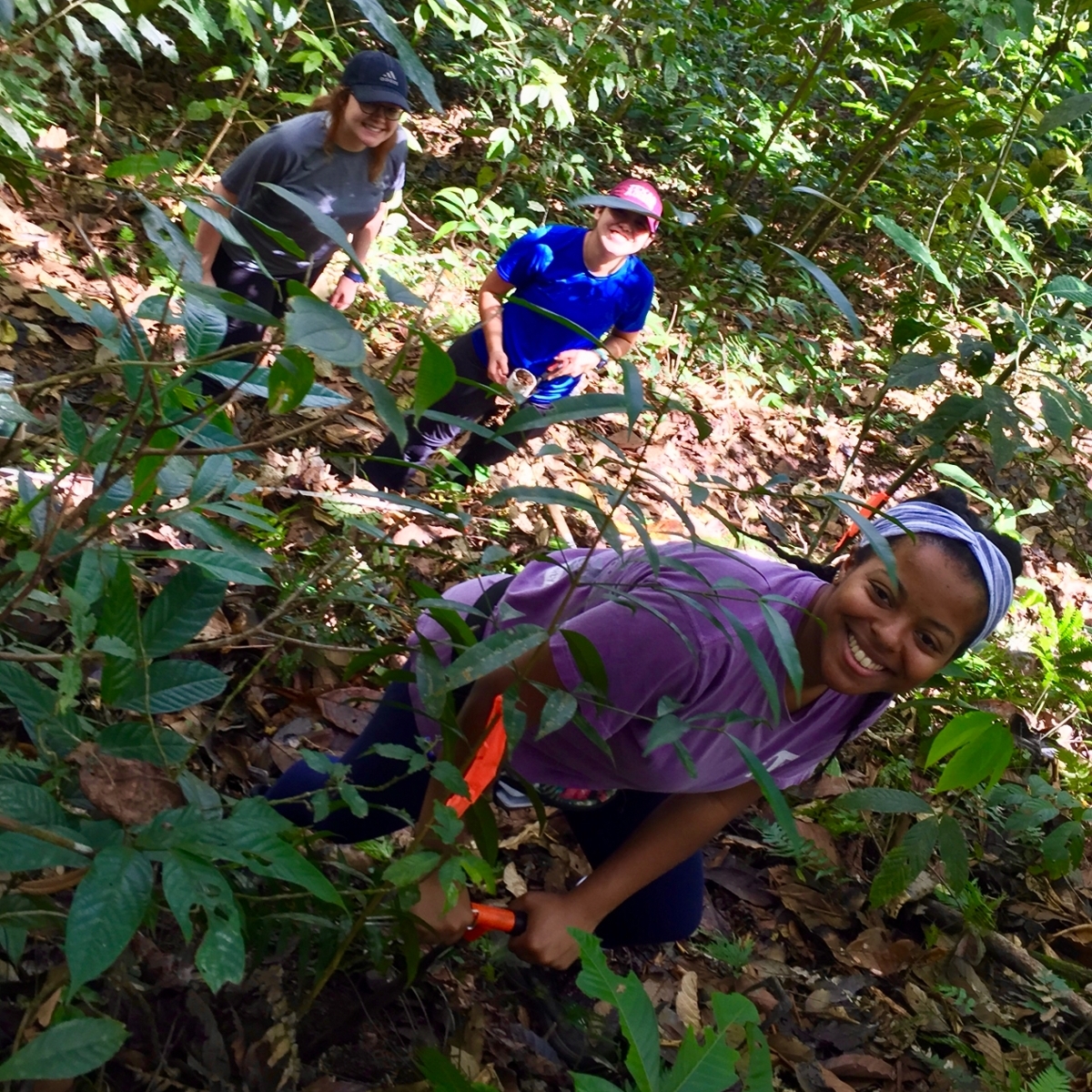 The invasive species group quantifying the physical and chemical soil properties around the native vegetation.