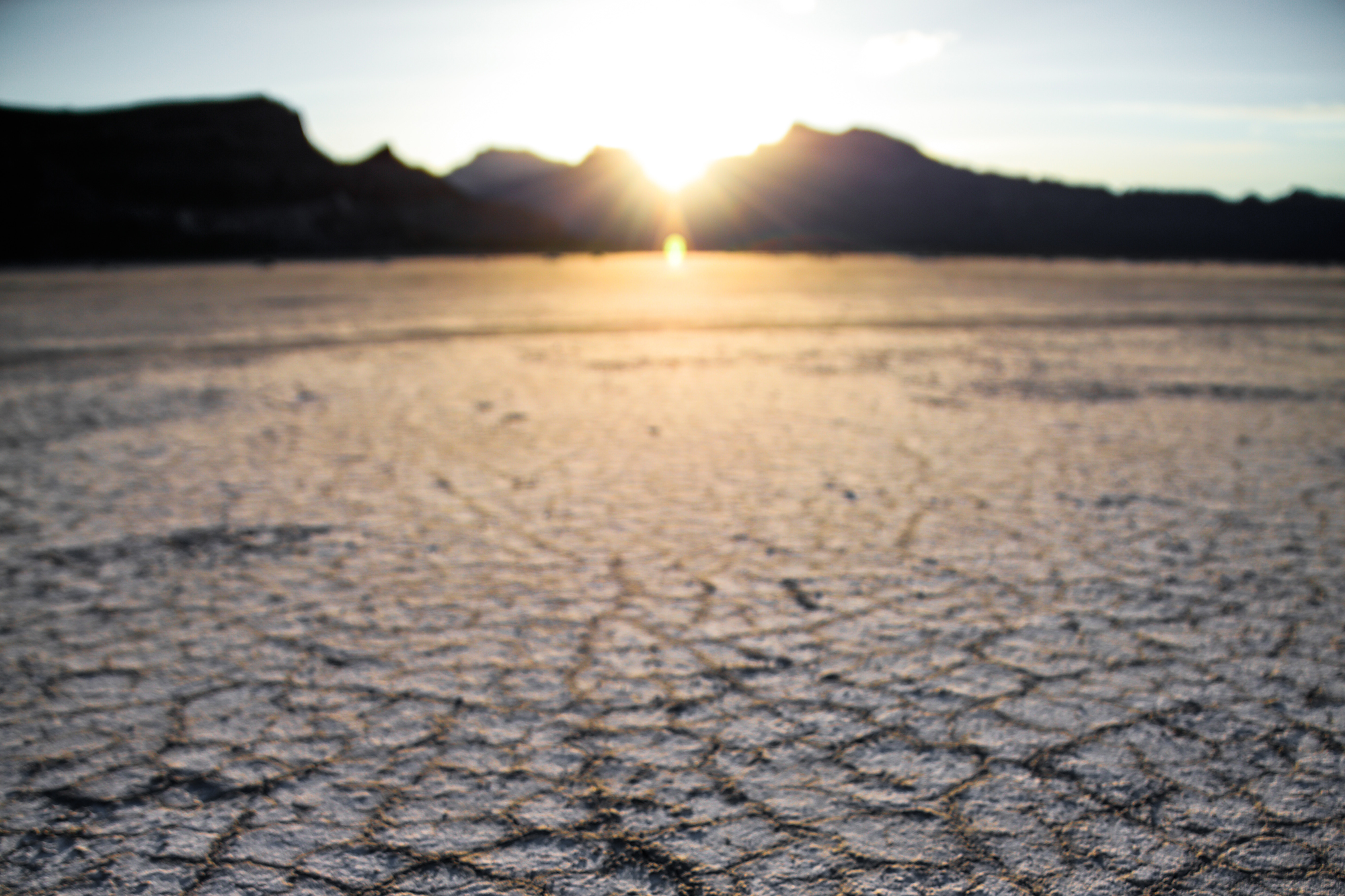 Drought landscape