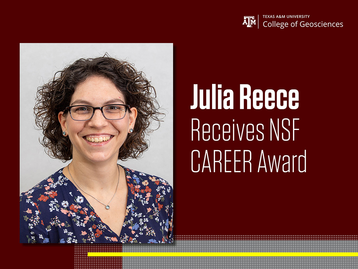 Dr. Julia Reece was recently awarded a prestigious NSF CAREER Award.
