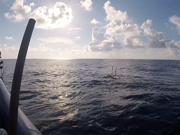The WaveGlider glides out into the Gulf of Mexico Aug. 13. (Video still courtesy of DiMarco.)