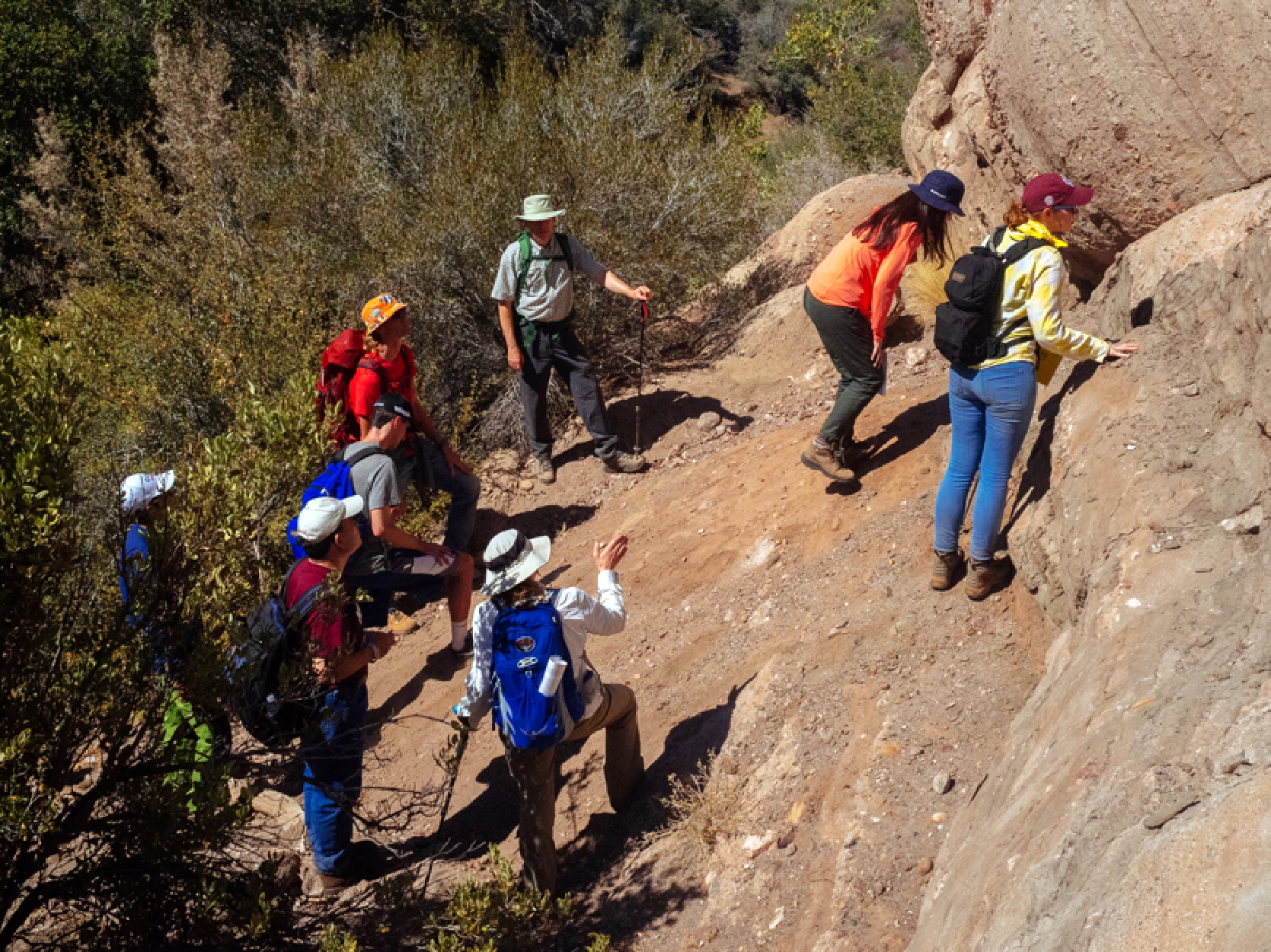 Undergraduate field experience