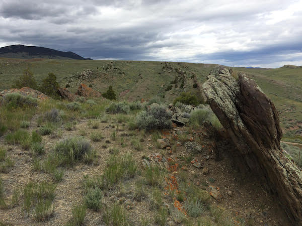 Tilted bedding and the principle of horizontality. Photo by Dr. Andreas Kronenberg.