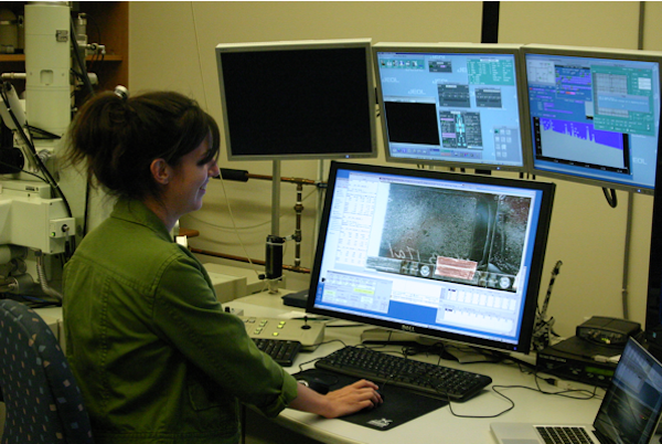 Dr. Kenderes working on the microprobe at Washington University in St. Louis, Missouri. (Photo courtesy of Kenderes.)