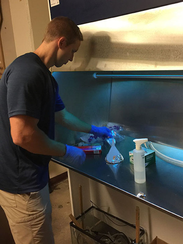 Undergraduate student putting lab materials under air hood. (Photo courtesy of Dr. Julia Reece)