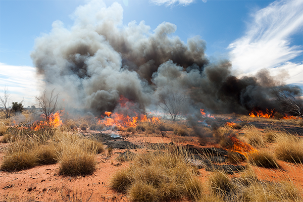 Smoke from bushfires in places such as Australia (above) tends to be darker and have more of a warming effect on the climate. (Photo: iStock)