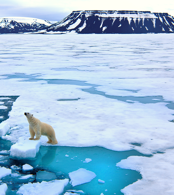 How Can Declining Sea Ice Thickness Affect Our World?