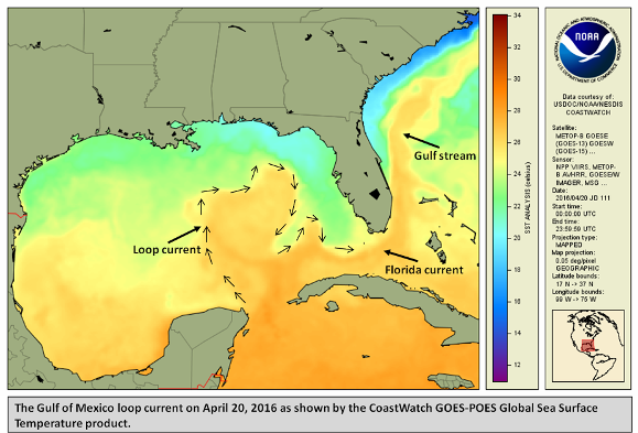 Gulf of Mexico