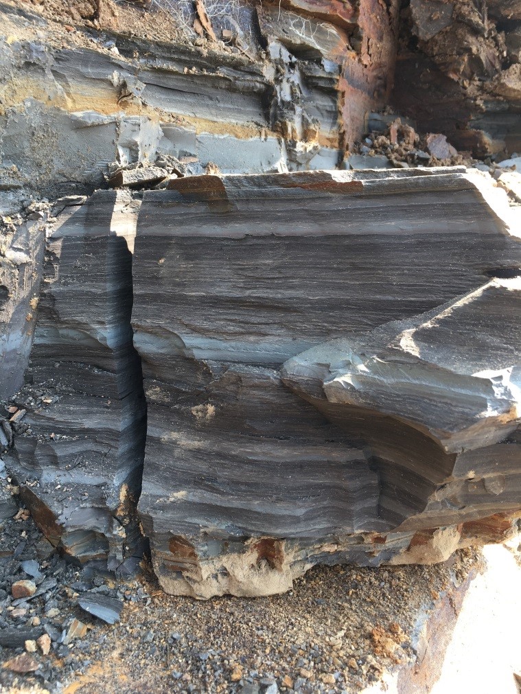 Laminations of the Clarkia Lake sediments presumably respond to the seasonal changes of precipitation and runoff. (Photo courtesy of Dr. Yige Zhang.)