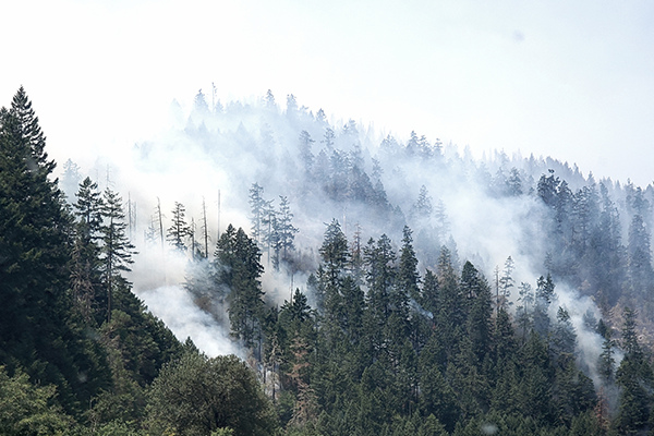 Smoke from forest fires in wetter climates such as Oregon (above) tends to be brighter and have more of a cooling effect on the climate than smoke emitted from dry, bushfires, scientists say. (Photo: iStock)