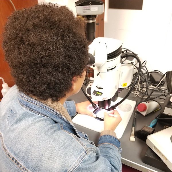 Dr. Bryant hard at work on the microscope she used to analyze her graduate school research samples. (Photo courtesy of Dr. Bryant.)