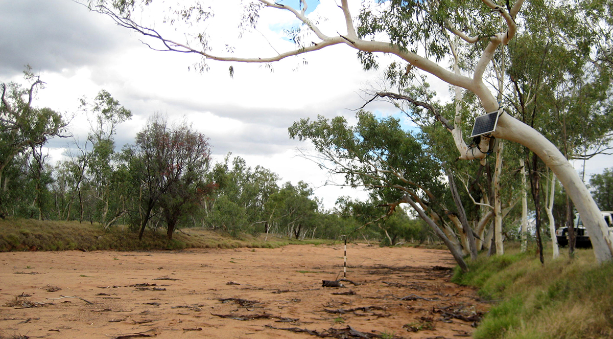 A stream gauge on the Woodforde River, a non-perennial stream in the Ti Tree Basin north of Alice Springs in Australia. (Credit: Margaret Shanafield / Flinders University.)