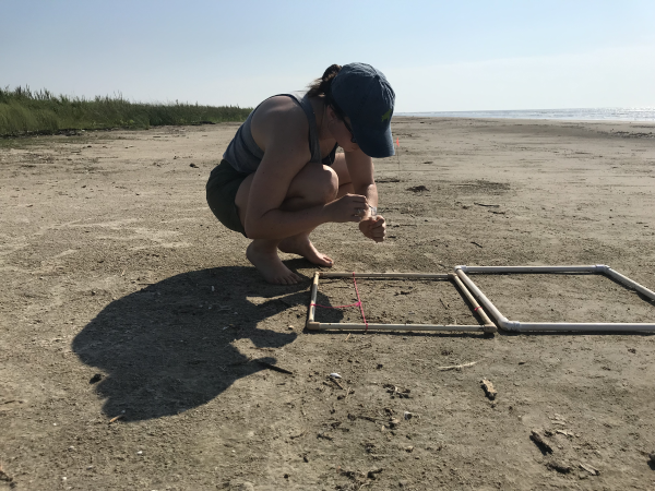 Charlotte Miller, collecting microplastics at Sea Rim State Park during undergraduate research program at the  Wicksten Lab. (Photo courtesy of Charlotte Miller.)