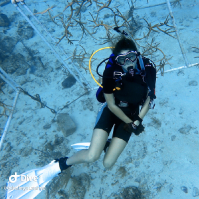Shelley Culver during a scientific dive at the Central Caribbean Sea. (Photo courtesy of Shelley Culver.)