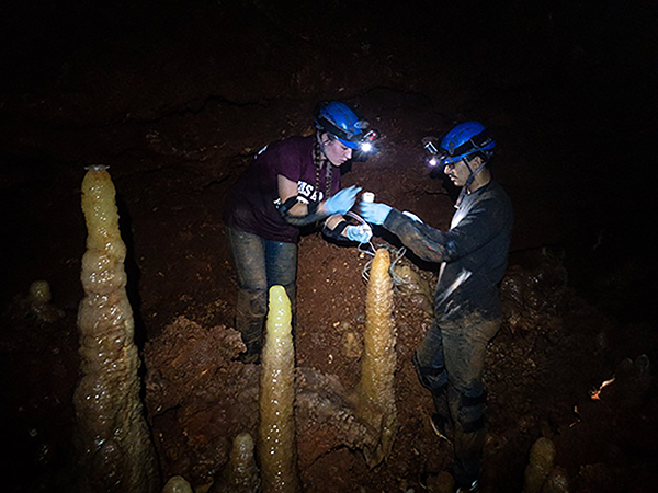Undergraduate students collecting monitoring samples and data in the cave. (Photo courtesy of Dr. Christopher Maupin.)